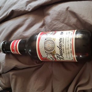 Plastic beer bottle bank